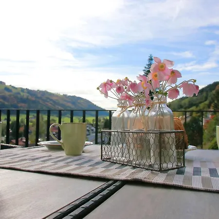 Hochsiedel Apartment